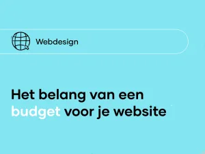 The importance of a budget for your website